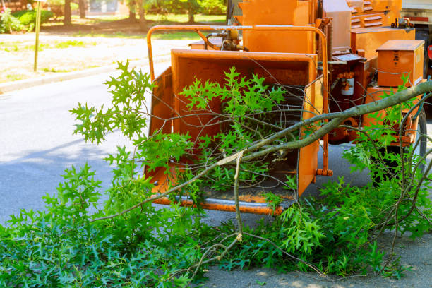 Soil Testing and Treatment in Saco, ME